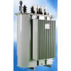 雙電壓三相雙繞組無(wú)勵(lì)磁調(diào)壓配電變壓器