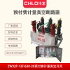 ZW32預(yù)付費高壓計量真空開關(guān)ZW32P-12